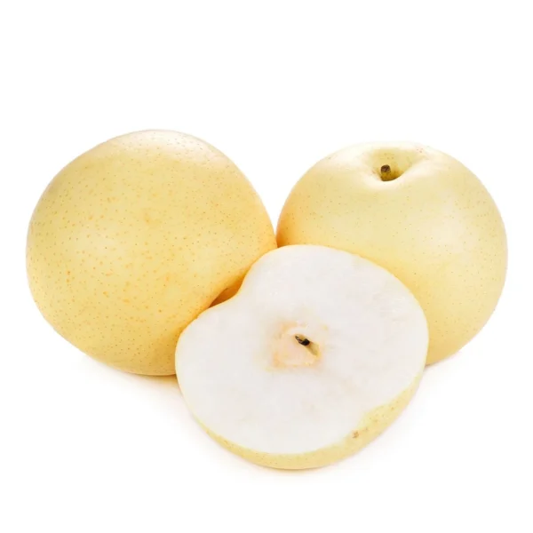 Asian Pear "Chojuro"