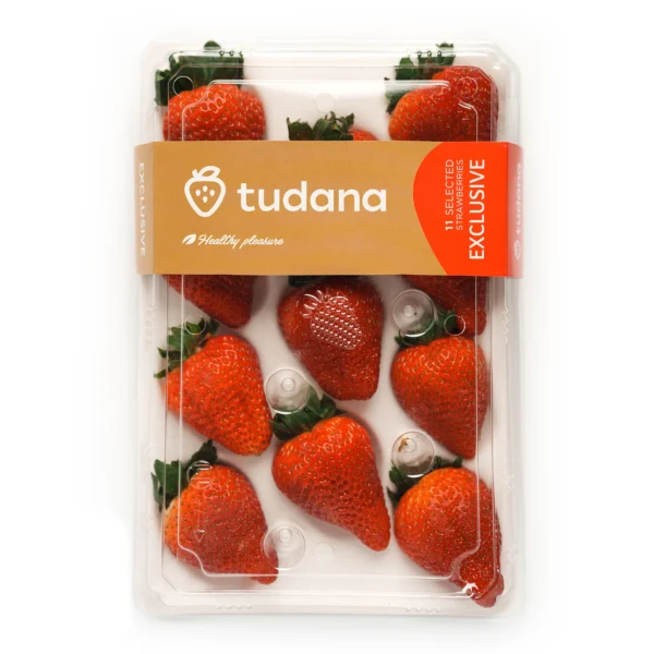 Albion Strawberries Tudana