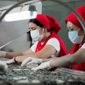 Altyn Yunus production process