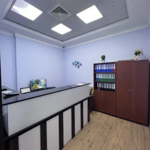 Asly Toprak office head photos (2)