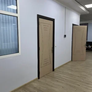 Asly Toprak office head photos (3)