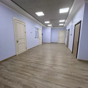 Asly Toprak office head photos (4)