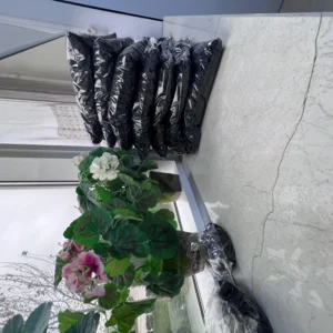 Asly Toprak office head photos (6)