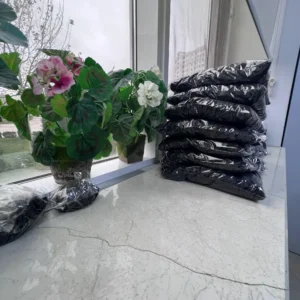 Asly Toprak office head photos (6)