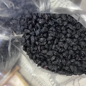 Asly Toprak office head photos (7)