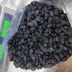 Asly Toprak office head photos (8)