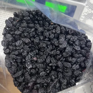 Asly Toprak office head photos (8)