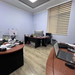 Asly Toprak office head photos