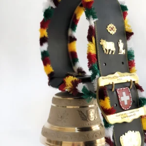 Competition Winner Cup