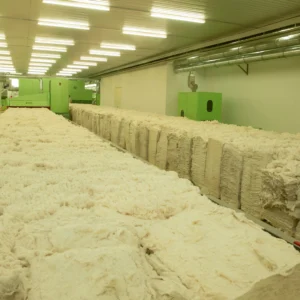 Cotton processing knot