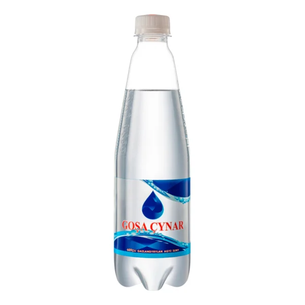 Gosha Chynar highly carbonated non-alcoholic water
