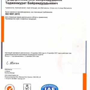 ISO 9001.rus