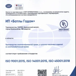 ISO certificate 9001, 14001, 45001 ru