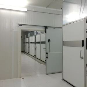 Maksada Okgunly incubator