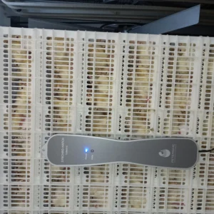 Maksada Okgunly incubator (4)