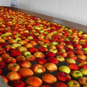 Ready to use apples for making juice
