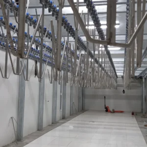 Turkey Slaughterhouse (10)