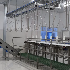 Turkey Slaughterhouse (11)