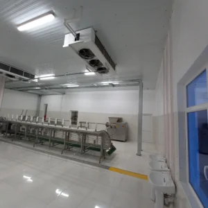 Turkey Slaughterhouse (2)