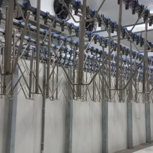 Turkey Slaughterhouse