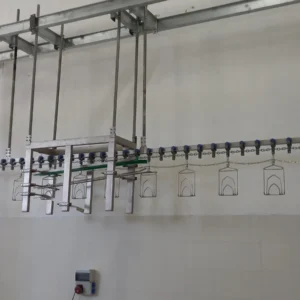 Turkey Slaughterhouse (8)