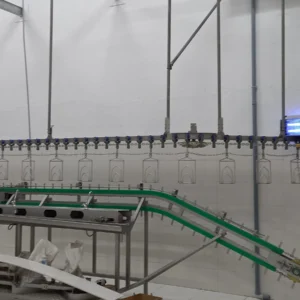 Turkey Slaughterhouse (9)